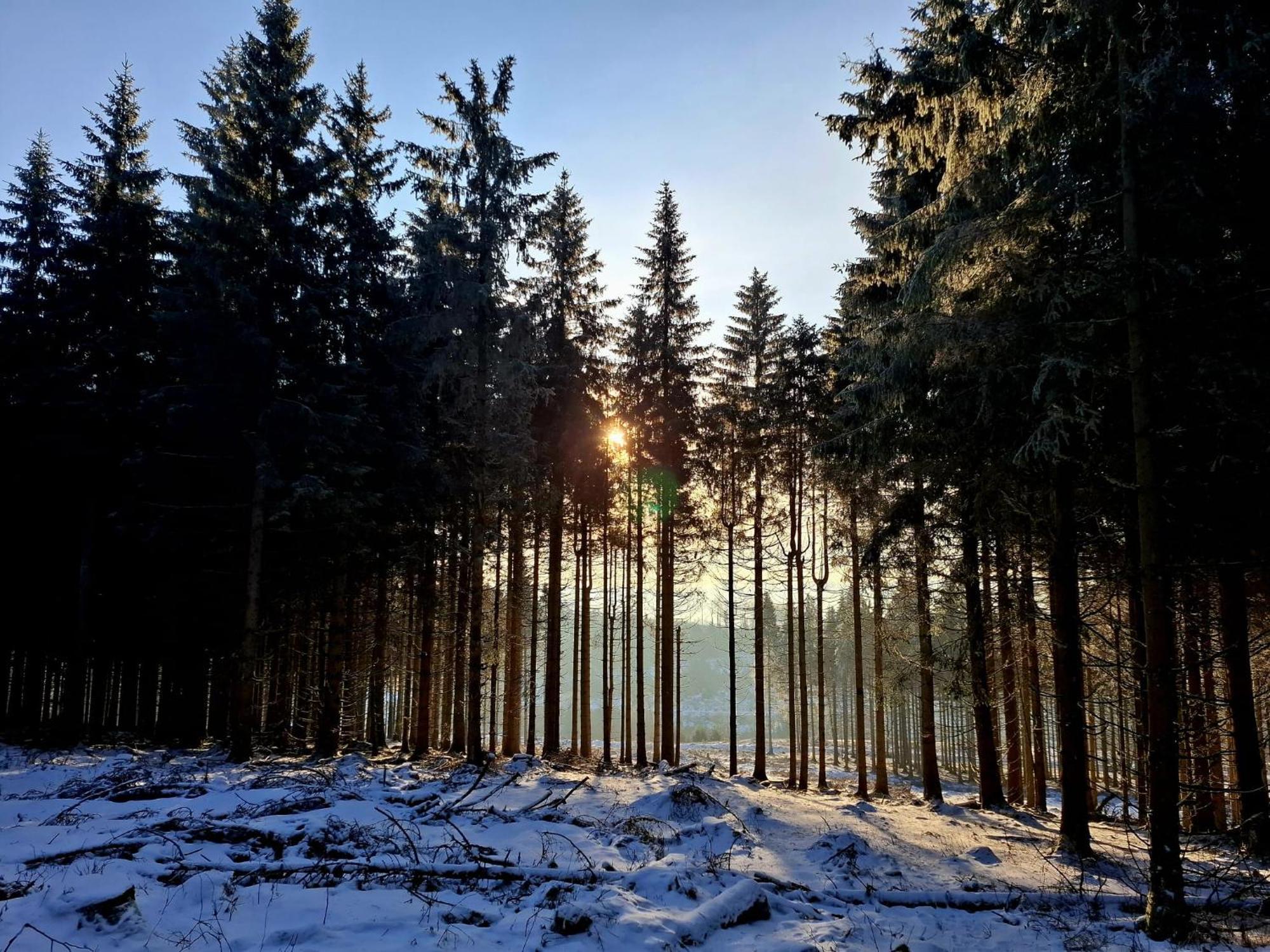 Haus Astenberg Winterberg Luaran gambar