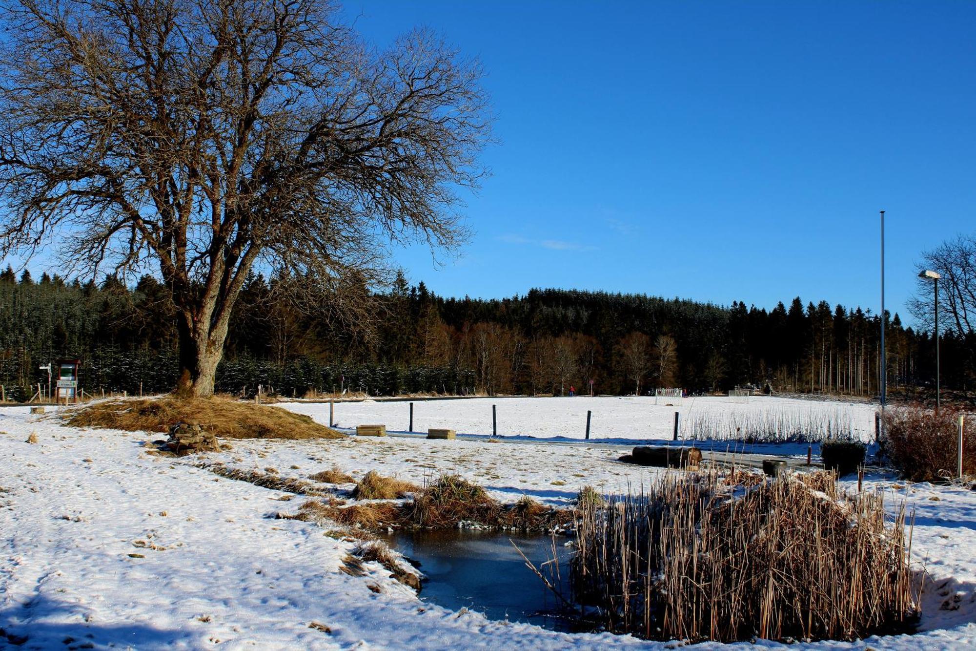 Haus Astenberg Winterberg Luaran gambar